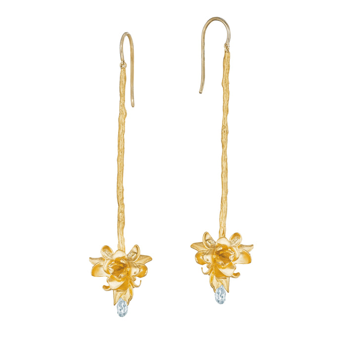 Briolette Hanging Cluster Earrings