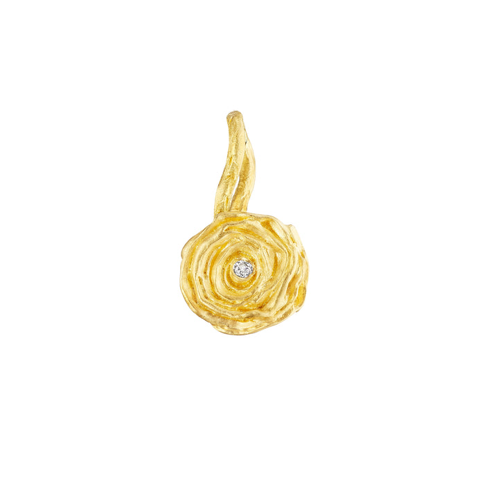 Ranunculus Charm